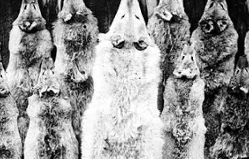 This Day in Alaska History-March 31st